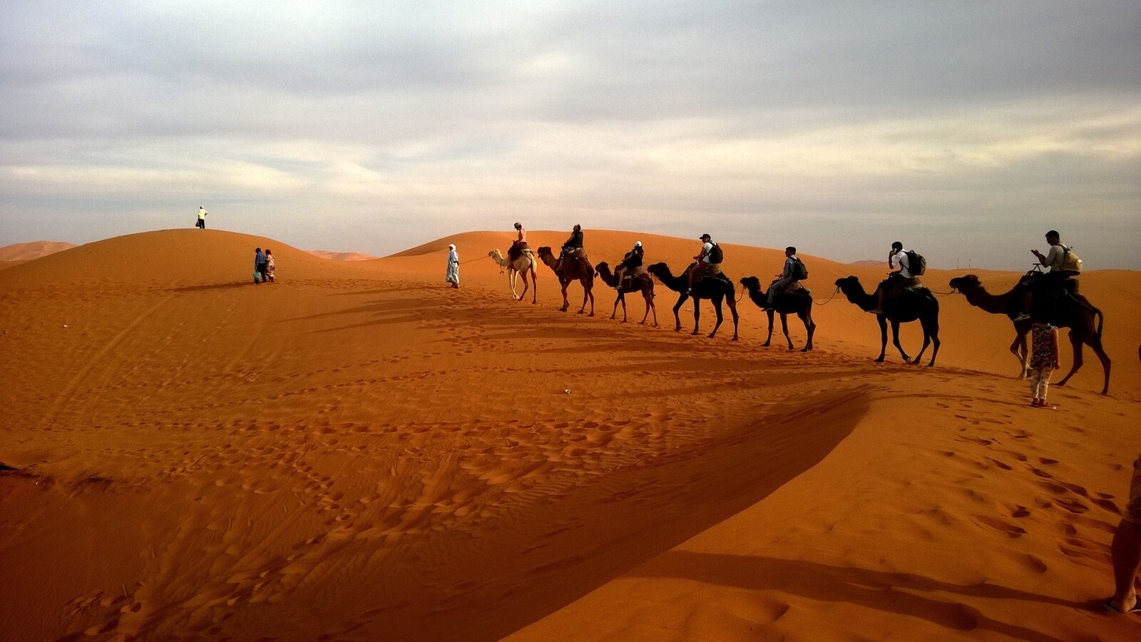 Giza to Saqqara Camel Safari: A Timeless Journey Through the Sands of Egypt